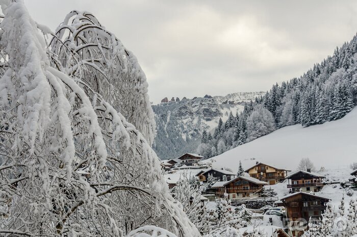 Papier peint  Arbre enneigé et Morzine vilage chalets