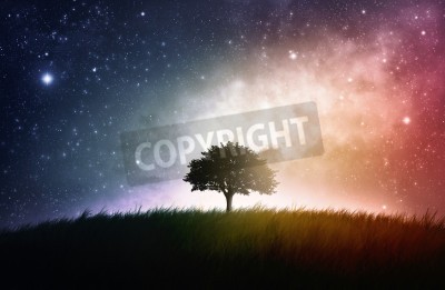 Papier peint  Arbre et ciel coloré avec des étoiles