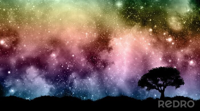 Papier peint  Arbre et une galaxie colorée
