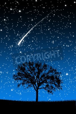 Papier peint  Arbre étoile filante