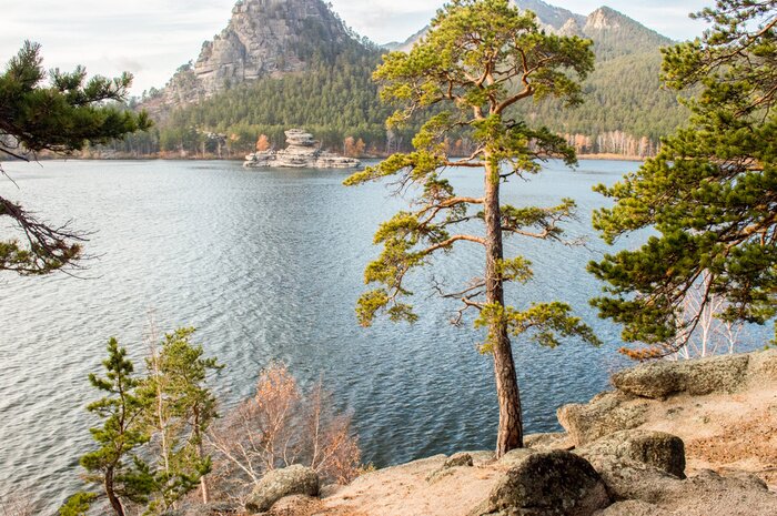 Papier peint  Arbres 3D au bord d'un lac