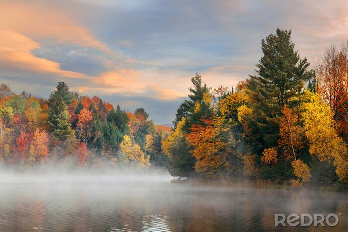Papier peint  Arbres d'automne au bord du lac