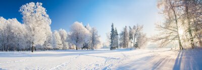 Arbres d'hiver dans le parc