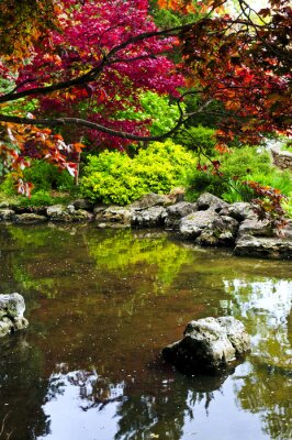 Arbres dans un jardin zen