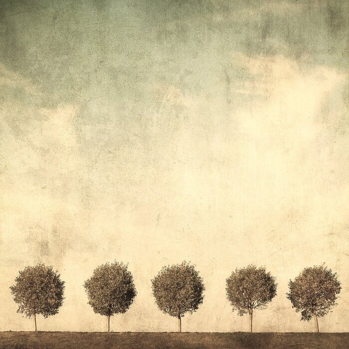 Papier peint  Arbres de style grunge