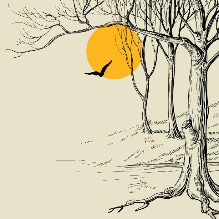 Papier peint  Arbres et soleil esquissés