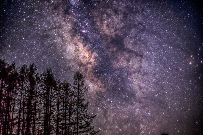 Papier peint  Arbres étoiles lumineux