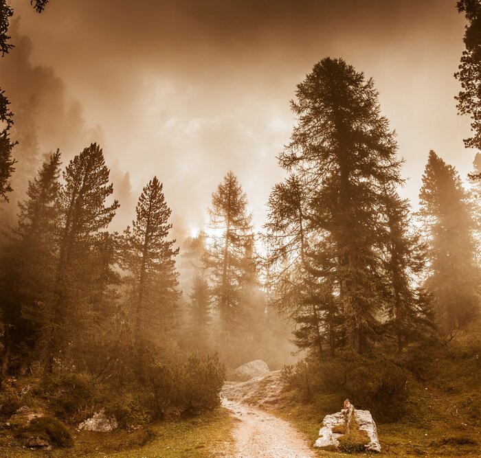 Papier peint  Arbres majestueux en sépia