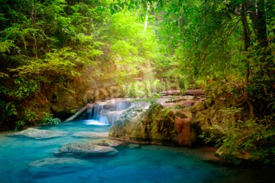 Papier peint  Arbres tropicaux et chute d'eau