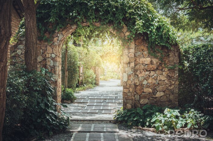 Papier peint  Arche en pierre recouverte de végétation