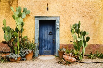 Architecture rustique, portes bleues et cactus verts