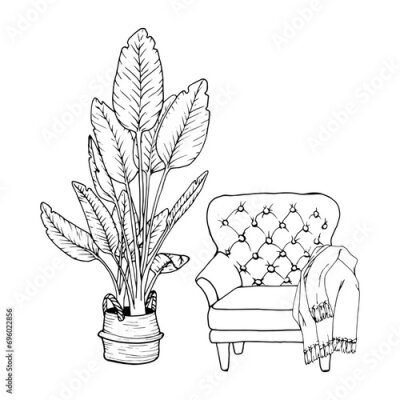 Papier peint  Armchair with woolen plaid, home plant birds of paradise in pots, Strelitzia nicolai. Black contour linear silhouette. Vector simple flat graphic illustration. A simple line hand drawing