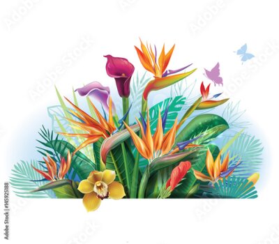 Papier peint  Arrangement avec des fleurs Strelitzia