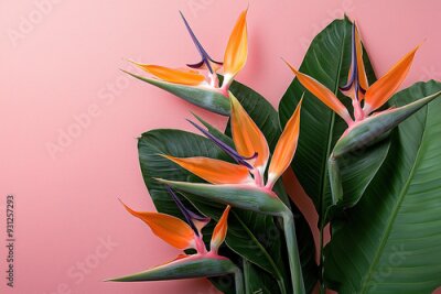 Papier peint   arrangement of Strelitzia reginae, commonly known as Bird of Paradise flowers, complemented by rich, green tropical leaves.
