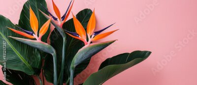 Papier peint   arrangement of Strelitzia reginae, commonly known as Bird of Paradise flowers, complemented by rich, green tropical leaves.