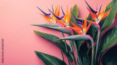 Papier peint   arrangement of Strelitzia reginae, commonly known as Bird of Paradise flowers, complemented by rich, green tropical leaves.