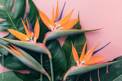Papier peint   arrangement of Strelitzia reginae, commonly known as Bird of Paradise flowers, complemented by rich, green tropical leaves.
