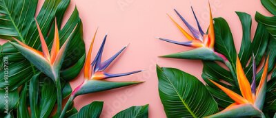 Papier peint   arrangement of Strelitzia reginae, commonly known as Bird of Paradise flowers, complemented by rich, green tropical leaves.
