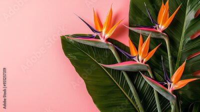 Papier peint   arrangement of Strelitzia reginae, commonly known as Bird of Paradise flowers, complemented by rich, green tropical leaves.