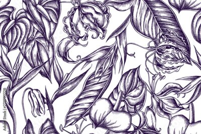 Papier peint  Artistic pattern with gloriosa, anthurium, strelitzia hand drawn illustration