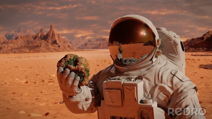 Papier peint  Astronaute sur Mars rouge