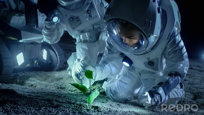 Papier peint  Astronautes avec une plante