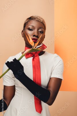 Papier peint  attractive african american woman in black gloves posing with Strelitzia flower on beige and orange