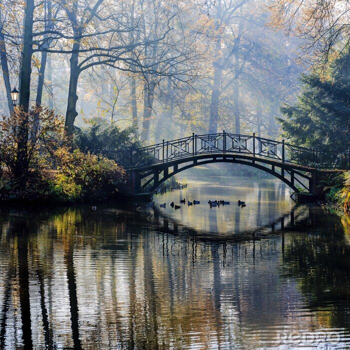 Papier peint  Automne - Vieux pont dans le parc brumeux automne