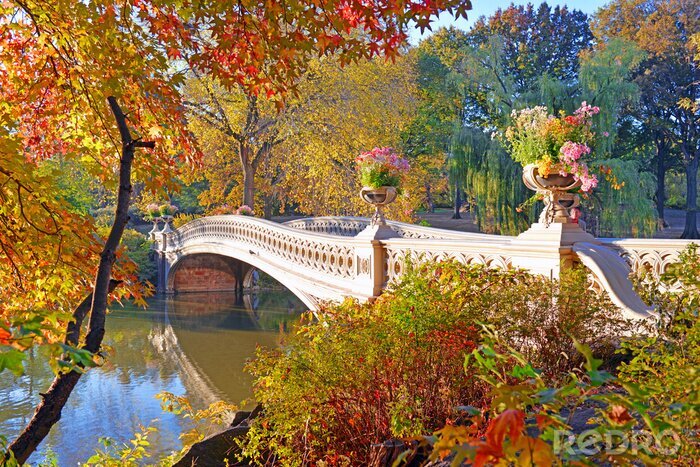 Papier peint  Autumn Colors - feuillage d'automne dans le Central Park, Manhattan, New York