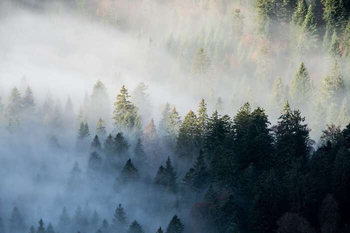 Papier peint  autumn in the mountains