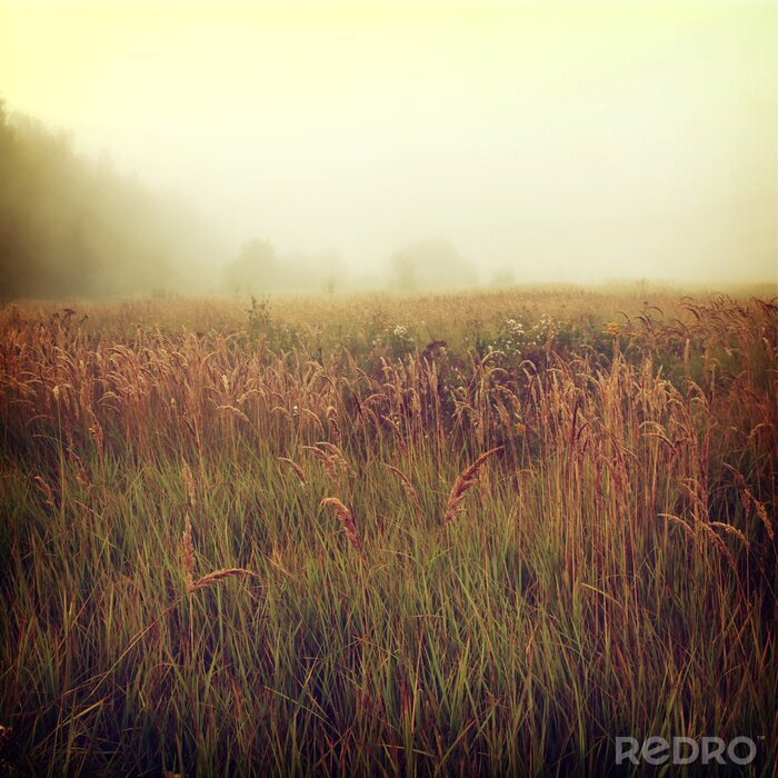 Papier peint  background-18