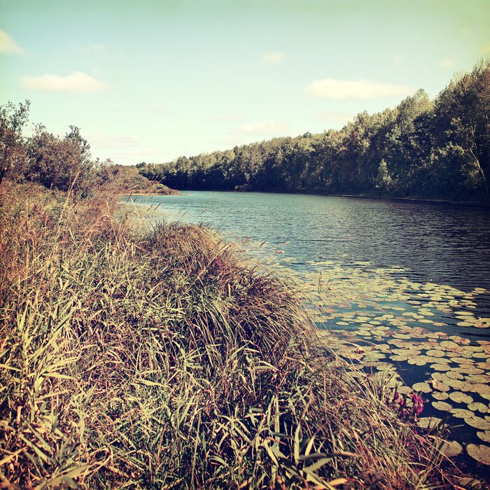 Papier peint  background-8