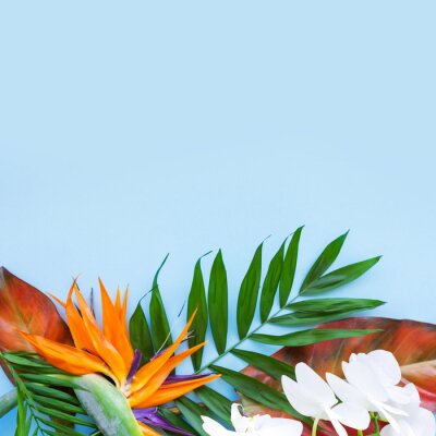 Papier peint  Background of tropical flowers, strelitzia and palm leaves, bouquet of exotic plants. Place for text. Flat lay. Summer concept.