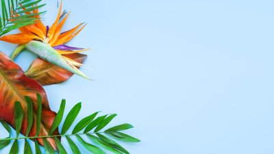 Papier peint  Background of tropical flowers, strelitzia and palm leaves, bouquet of exotic plants. Place for text. Flat lay. Summer concept.