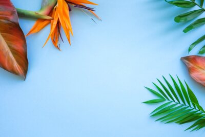 Papier peint  Background of tropical flowers, strelitzia and palm leaves. Place for text. Flat lay.  Summer concept.