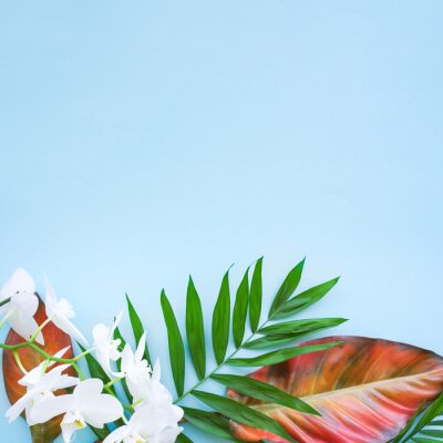 Papier peint  Background of tropical flowers, strelitzia and palm leaves. Place for text. Flat lay.  Summer concept.