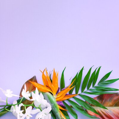 Papier peint  Background of tropical flowers, strelitzia and palm leaves. Place for text. Flat lay.  Summer concept.