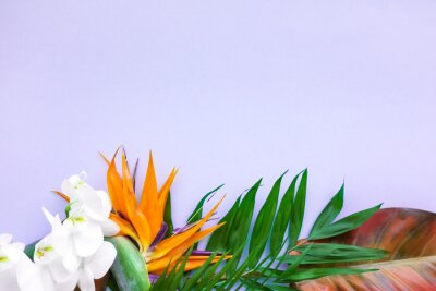 Papier peint  Background of tropical flowers, strelitzia and palm leaves. Place for text. Flat lay.  Summer concept.