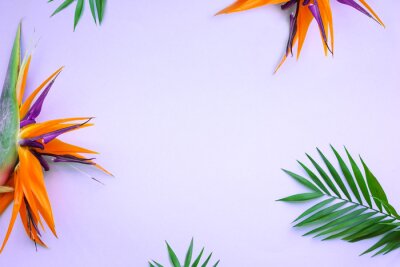 Papier peint  Background of tropical flowers, strelitzia and palm leaves. Place for text. Flat lay.  Summer concept.