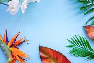 Papier peint  Background of tropical flowers, strelitzia and palm leaves. Place for text. Flat lay.  Summer concept.