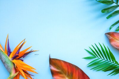 Papier peint  Background of tropical flowers, strelitzia and palm leaves. Place for text. Flat lay. Summer concept.