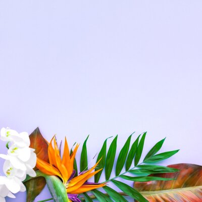 Papier peint  Background of tropical flowers, strelitzia and palm leaves. Place for text. Flat lay. Summer concept.