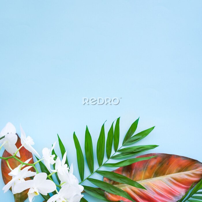 Papier peint  Background of tropical flowers, strelitzia and palm leaves. Place for text. Flat lay.  Summer concept.
