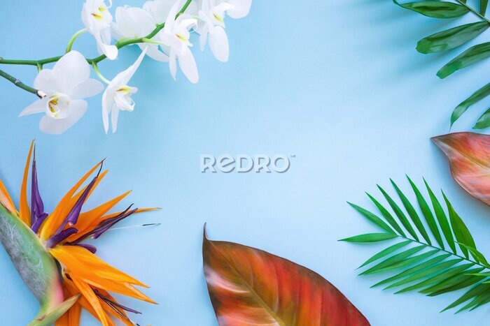 Papier peint  Background of tropical flowers, strelitzia and palm leaves. Place for text. Flat lay.  Summer concept.