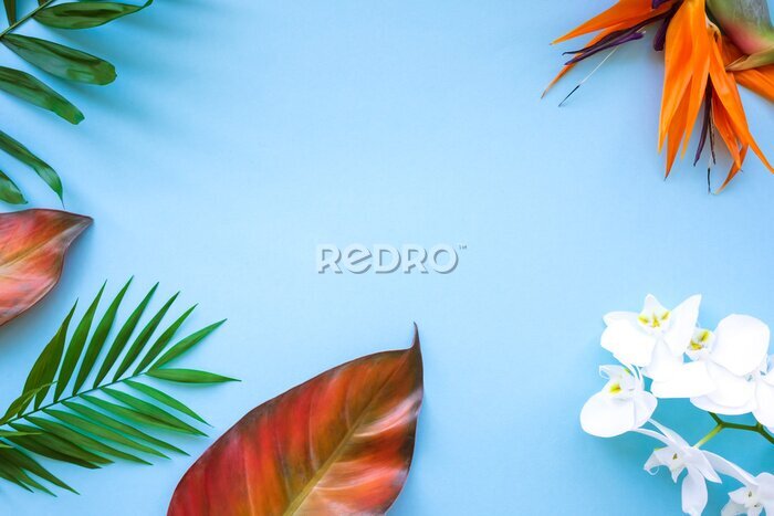 Papier peint  Background of tropical flowers, strelitzia and palm leaves. Place for text. Flat lay.  Summer concept.
