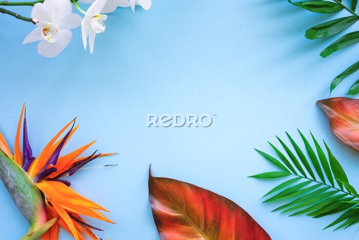 Papier peint  Background of tropical flowers, strelitzia and palm leaves. Place for text. Flat lay.  Summer concept.