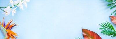 Papier peint  Background of tropical flowers, strelitzia and palm leaves. Place for text. Flat lay.  Summer concept.Tropical flowers background.