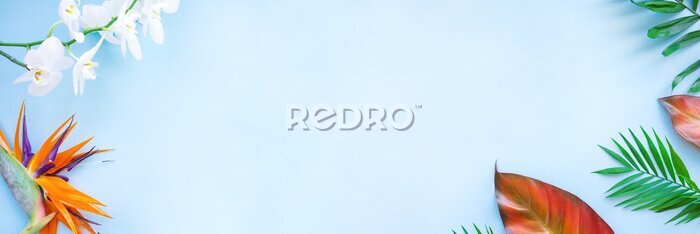 Papier peint  Background of tropical flowers, strelitzia and palm leaves. Place for text. Flat lay.  Summer concept.Tropical flowers background.