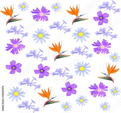 Papier peint  Background, pattern or set of flowers such as daisies and Strelitzia reginae. Digital paper with spring design. EPS 8 vector