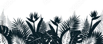 Papier peint  Background with silhouettes of tropical plants in cartoon style. Vector illustration of background with silhouettes of tropical plants: monstera, palm leaves, strelitzia, banana leaves and fern.